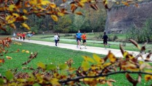 parc-de-la-citadelle-lille.png